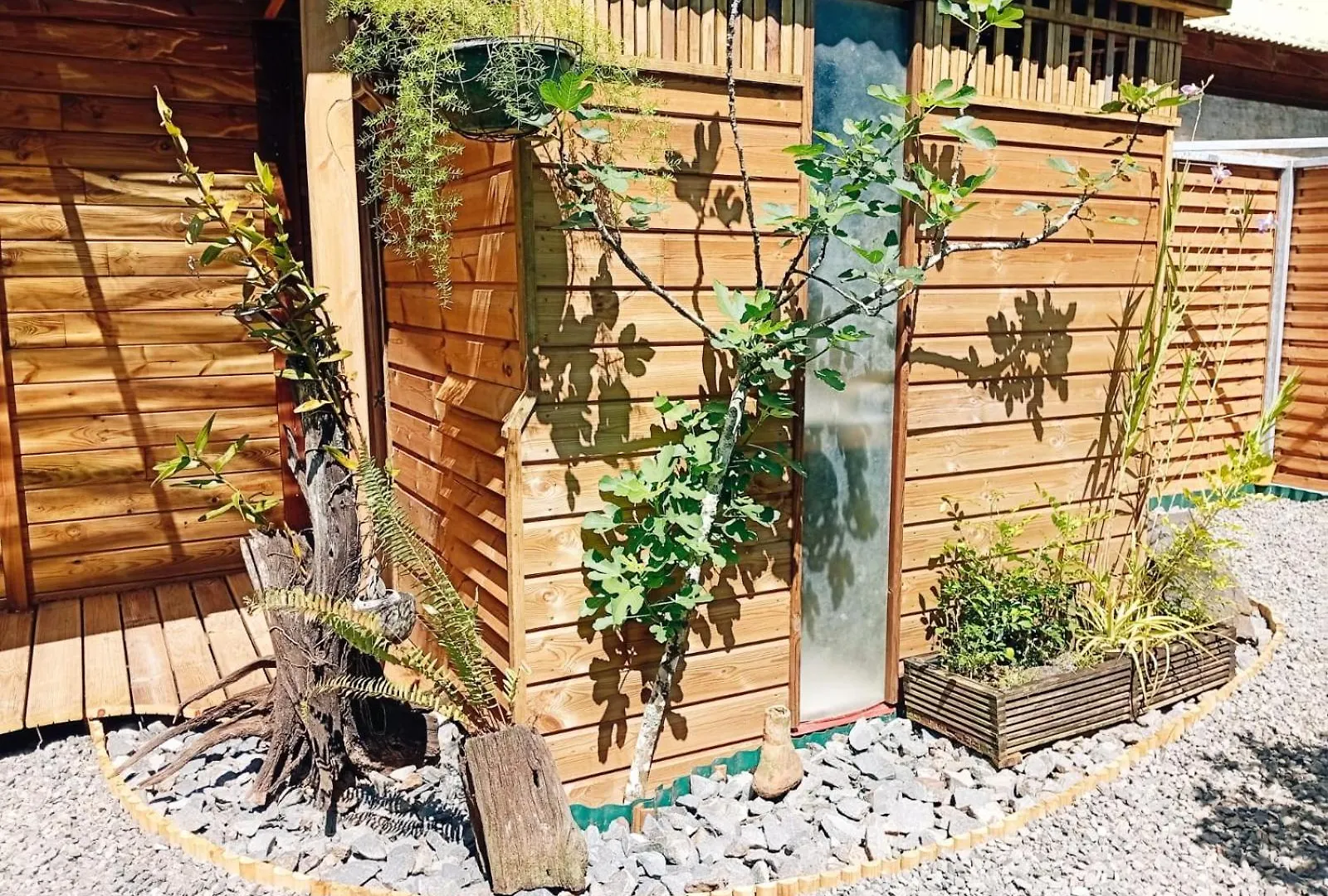 Charmant Bungalow Tout En Bois De 35 M2 Amenage A Neuf Lamentin